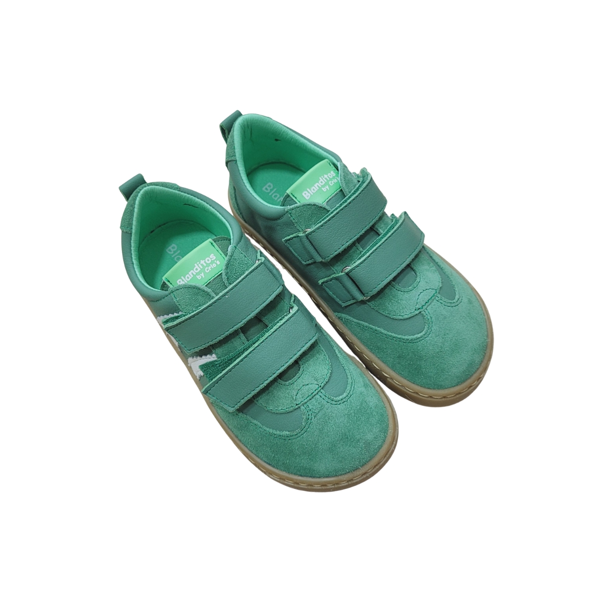 marea-delfin-verde-blanditos