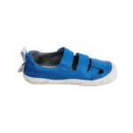 somer-azul-poppis