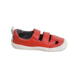 somer-rojo-poppis
